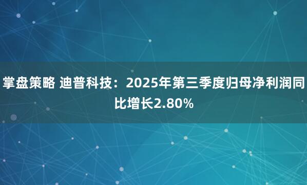 掌盘策略 迪普科技：2025年第三季度归母净利润同比增长2.80%