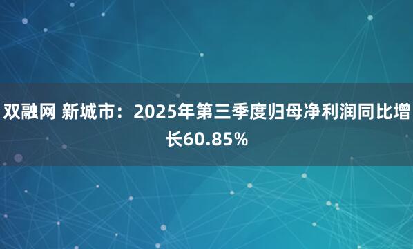 双融网 新城市：2025年第三季度归母净利润同比增长60.85%